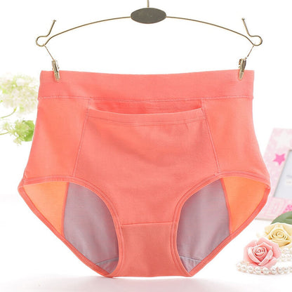 Leak Proof Menstrual Panties (5 set of period underwear)