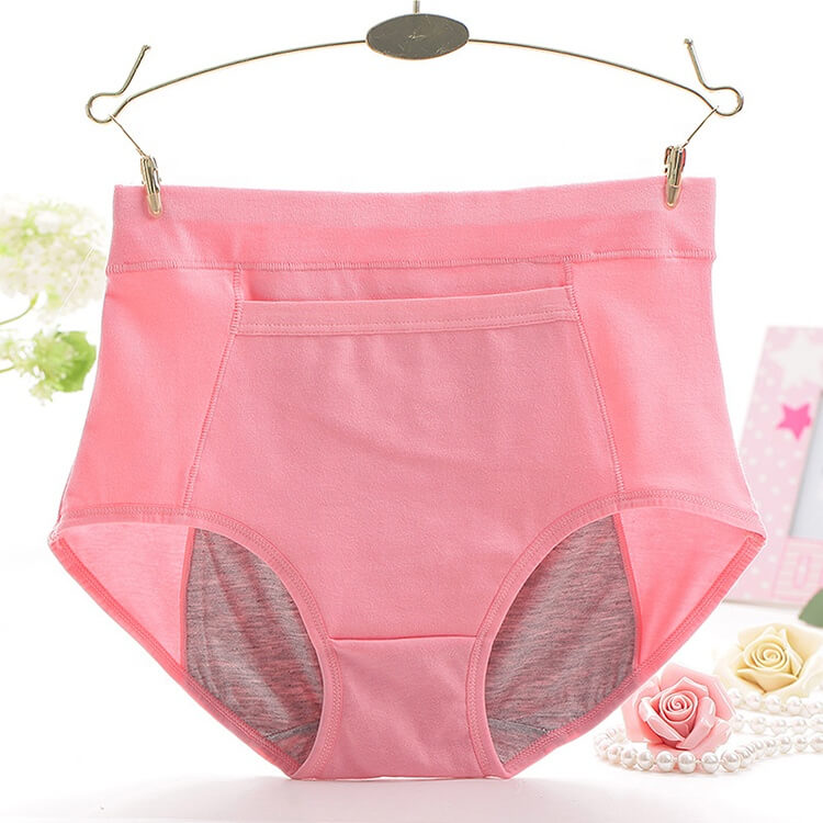 Leak Proof Menstrual Panties (5 set of period underwear)